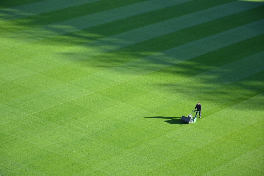 Is the Lawn Care Business Your Way to Millionaire Status?