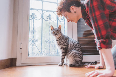 How to Budget for Pet Ownership